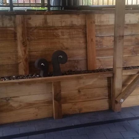 Edgehill - semi self-contained eco friendly home Tauranga Esterno foto